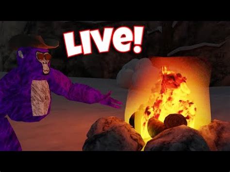 Image result for Code Name Live