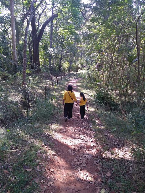 KADUMANE HOMESTAY (Dandeli, Karnataka) - Guesthouse Reviews & Photos ...