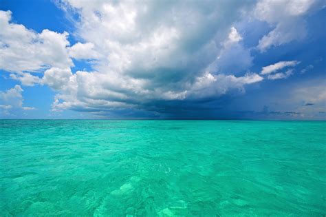 Image result for paradise