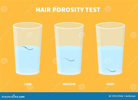 Hair Porosity Water Float Test Infographics Poster Stock Vector ...