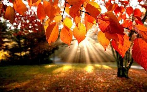 赞美秋天的话,描写秋天的句子优美 - 伤感说说吧