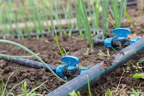 Drip irrigation - 360irrigation