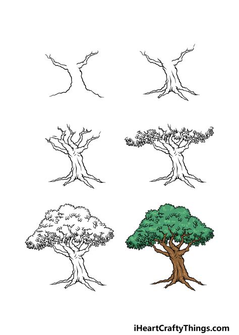 Tree Drawing Tutorial 的图像结果