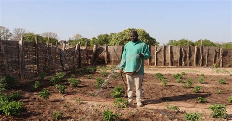 Resilience of Moustapha Baldé and Support from the Diaspora | IOM ...