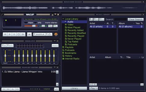 Winamp Overview