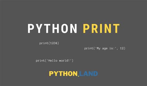 Machine Print Python 的图像结果