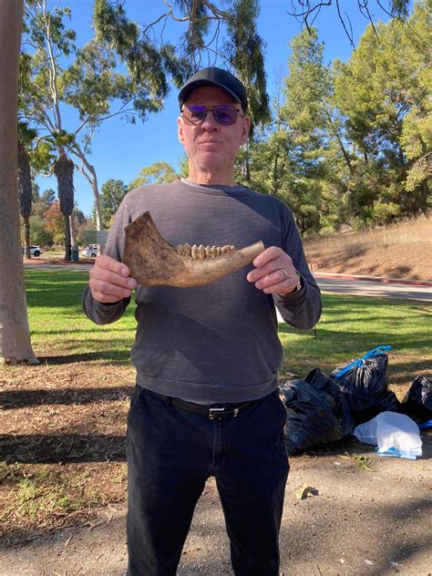 Pictures from our clean up at Ernest E Debs Park in Los Angeles : r ...