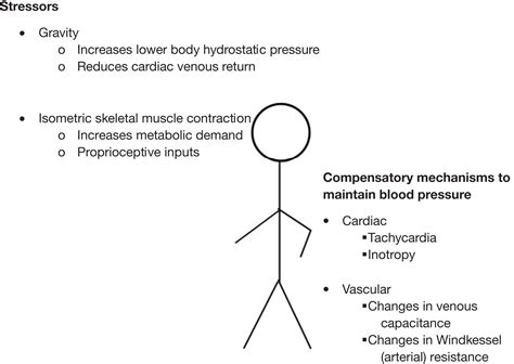 A pragmatic approach to paediatric postural orthostatic tachycardia ...