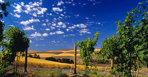 Car Rentals at Walla Walla Airport - KAYAK