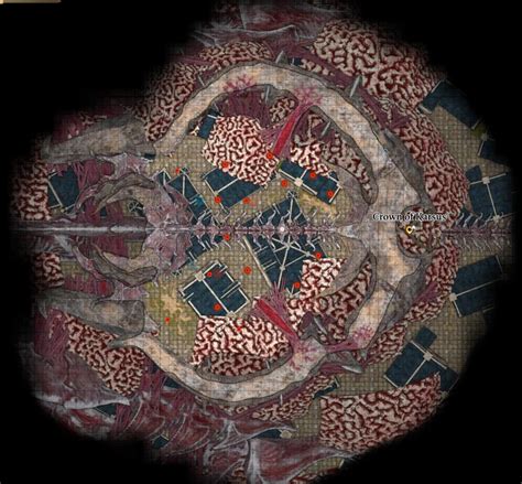 File:Netherbrain Map with Tentacle.png - bg3.wiki