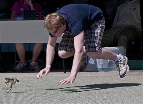 Image result for Frog Jumping Contest