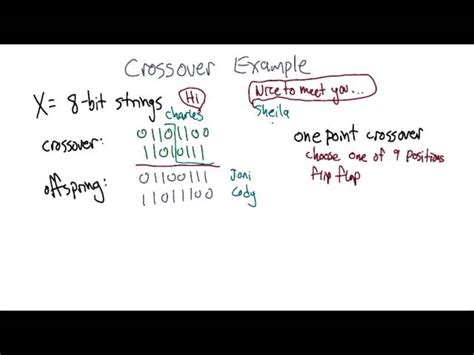 Crossover Tutorial 的图像结果