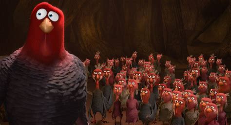 Download Reggie Plus Other Free Birds Wallpaper | Wallpapers.com