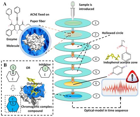 Pesticide Residues Identification by Optical Spectrum in the Time ...