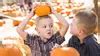 Pumpkin Patch & Fall Fun Fest in Arcadia | Groupon