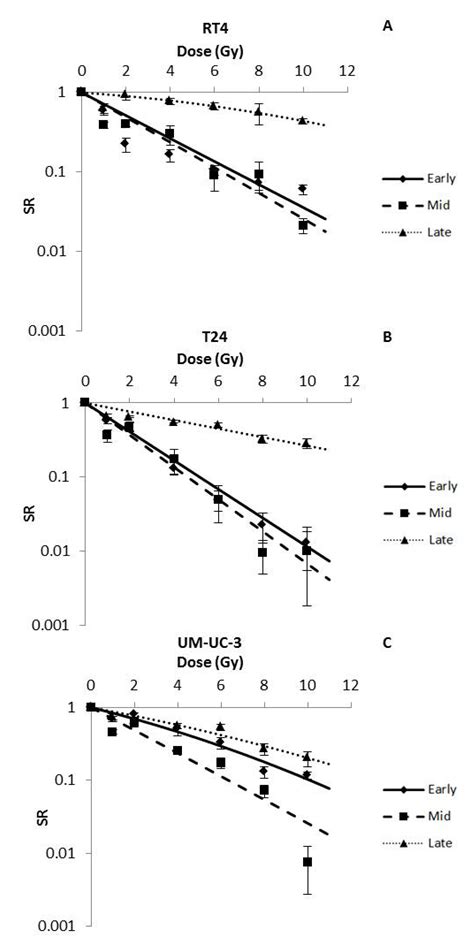 Radiation Treatment Timing and Dose Delivery: Effects on Bladder Cancer ...