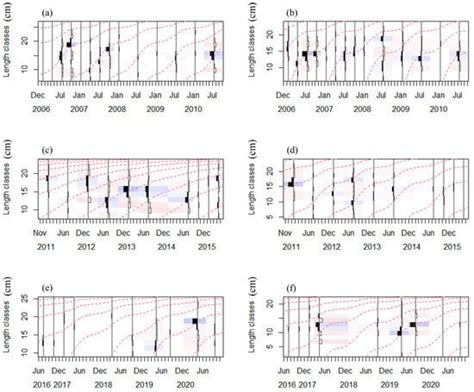 Stock Assessment of the Commercial Small Pelagic Fishes in the Beibu ...