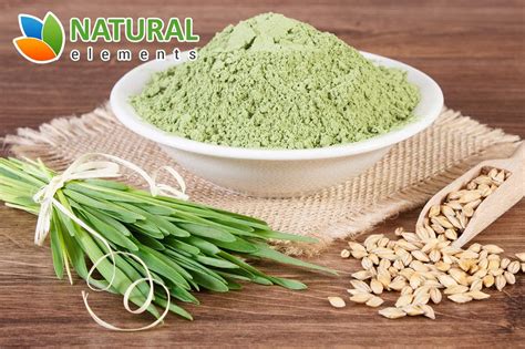 Buy Barley Grass Powder - USDA Certified Organic Barley Grass Powder ...