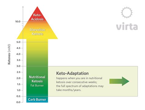 Ketones and Nutritional Ketosis: Basic Terms and Concepts
