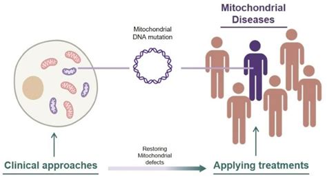 Clinical Approaches for Mitochondrial Diseases