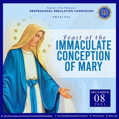 What Does Mary S Immaculate Conception Mean at Cecil Messer blog