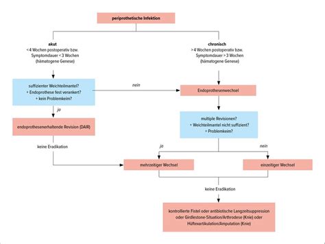 Einzeitiger und mehrzeitiger septischer Endoprothesenwechsel ...