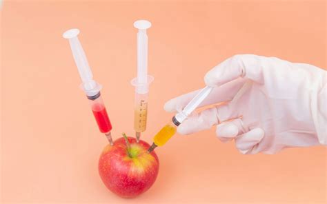 SQL Injection Using OWASP 的图像结果