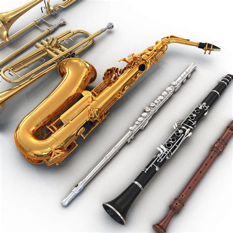 Woodwind Instrument Instruments