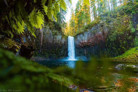 Ultimate Guide: Hiking to the stunning Abiqua Falls in Oregon