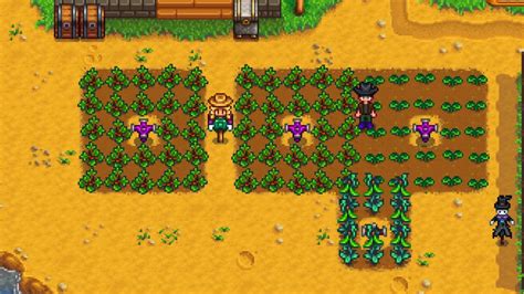 Best Spring Crops In Stardew Valley - GameSpot