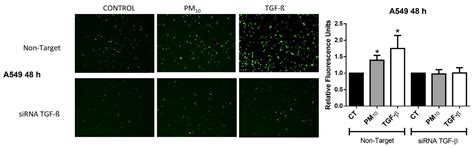 Particulate Matter (PM10) Promotes Cell Invasion through Epithelial ...