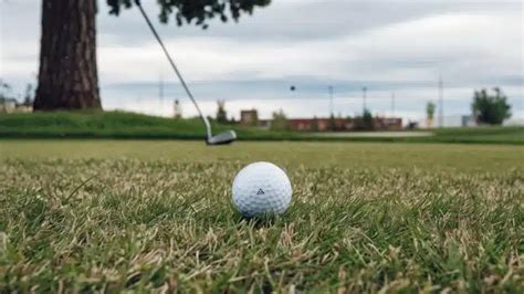 The Past Tense of Tear: Tore, Torn, or Teared? | Grammar Glow