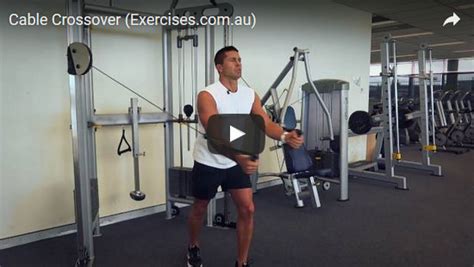 Cable Crossover Exercises 的图像结果