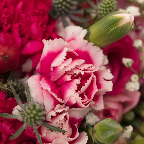 Endless Love – The Flora