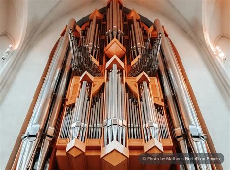 Image result for Types of Organs Instrument