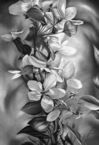 Digital Painting grayscale flower sketch Poster Wallpaper on LARGE ...