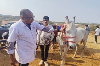 Home [www.kamdhenuuni.edu.in]