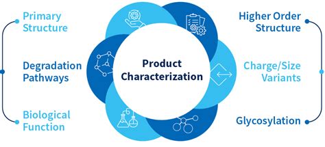 Process Characterization Tutorial 的图像结果