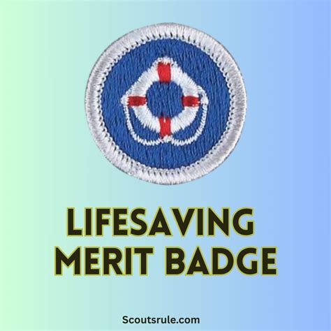 Coin Collecting Merit Badge Guide 2025 - Scouts Rule