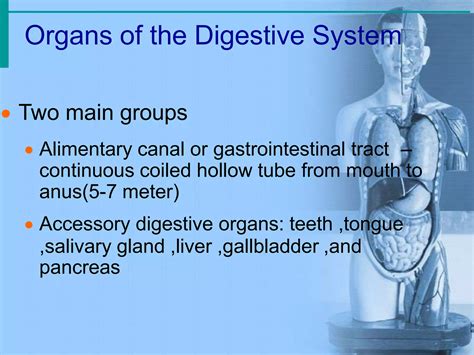 Anatomy of Git System in Amharic 的图像结果