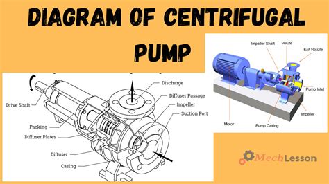 What is Centrifugal Pump, Its Parts, Diagram & How it Works - ML