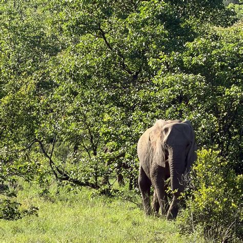 BUSHVELD TERRACE SAFARI HOTEL, LODGE & SPA (Phalaborwa, Limpopo) - 2026 ...