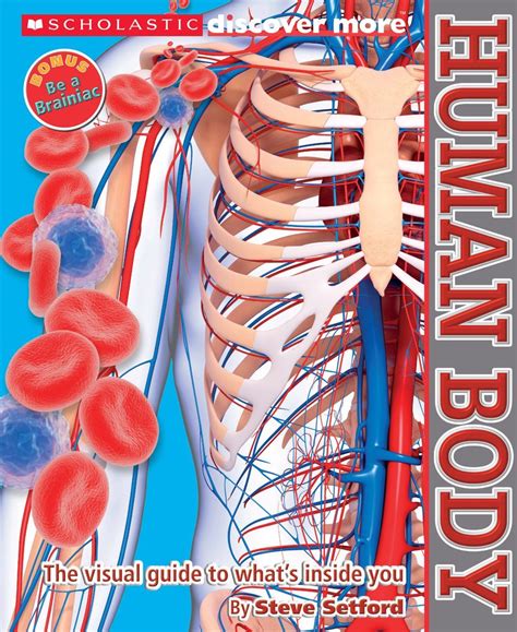 SCHOLASTIC DISCOVER MORE HUMAN BODY – Odyssey Online Store