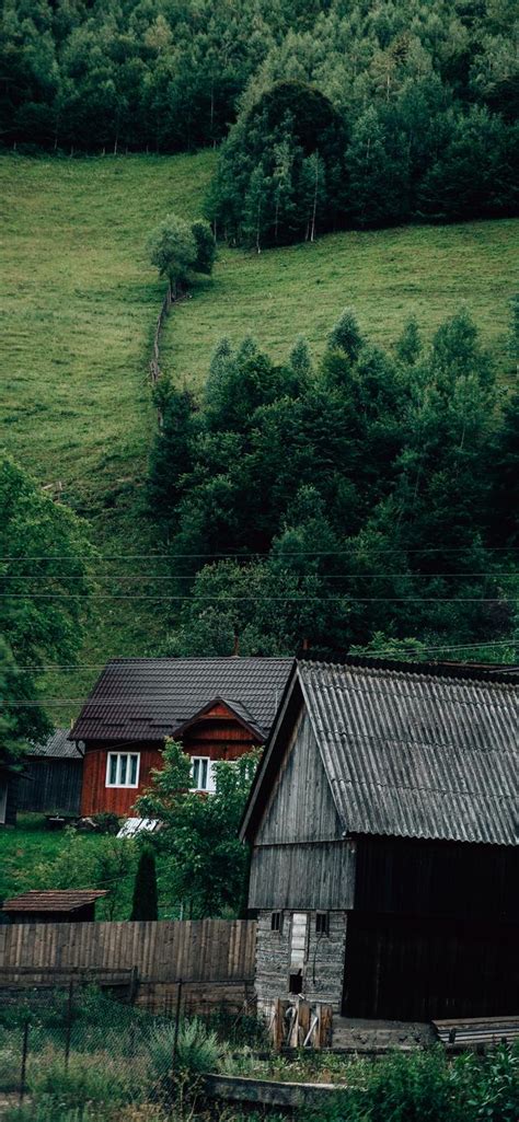 苹果电脑墙纸 的图像结果