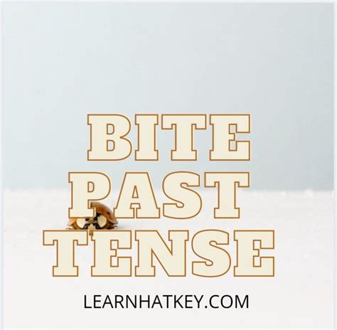 Past Tense of Bite: Learn the Verb Forms