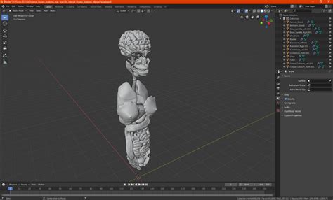 3D Girl Internal Organs Anatomy model | 3D Molier International