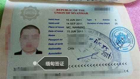 护照上的以色列签证出入境印章高清图片下载-正版图片504761875-摄图网