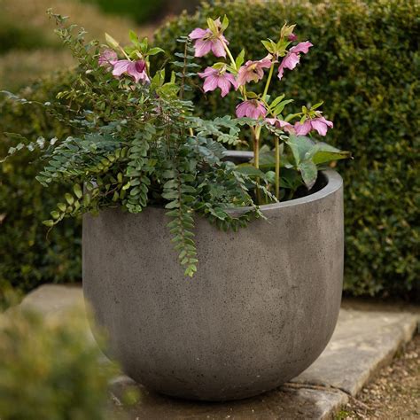 Buy Cement egg pot - waxed: Delivery by Waitrose Garden
