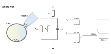 Electrical Cell 的图像结果