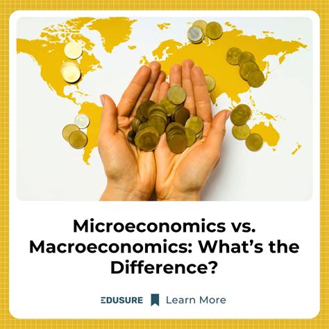 Microeconomics vs Macroeconomics: Key Differences Explained
